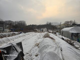 소병찬님의 다가오는 대한, 농가의 혹한 대비 어떻게 하고 계신가요? · 참여글 작성글 사진