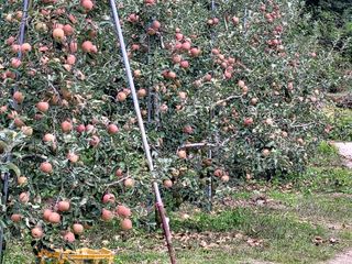 산신님의 작성글 사진