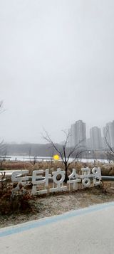 팜모닝 자유주제·사진전 게시글 이미지