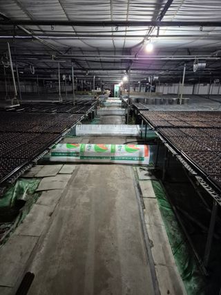 청운농원육묘장님의 다가오는 대한, 농가의 혹한 대비 어떻게 하고 계신가요? · 참여글 작성글 사진