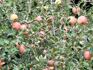 산신님의 작성글 사진