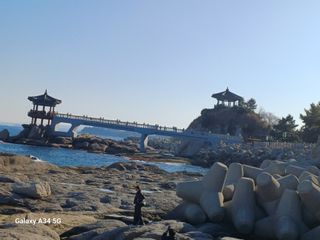 홍순오님의 다가오는 대한, 농가의 혹한 대비 어떻게 하고 계신가요? · 참여글 작성글 사진