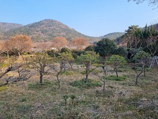 양영모님의 자유주제 · 자유게시판 작성글 사진