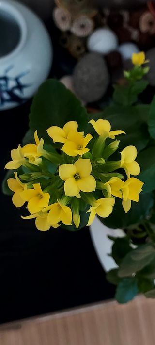 안재성님의 자유주제 · 사진전 작성글 사진