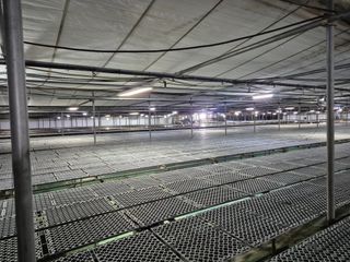 청운농원육묘장님의 다가오는 대한, 농가의 혹한 대비 어떻게 하고 계신가요? · 참여글 작성글 사진