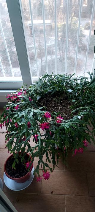 안재성님의 자유주제 · 사진전 작성글 사진