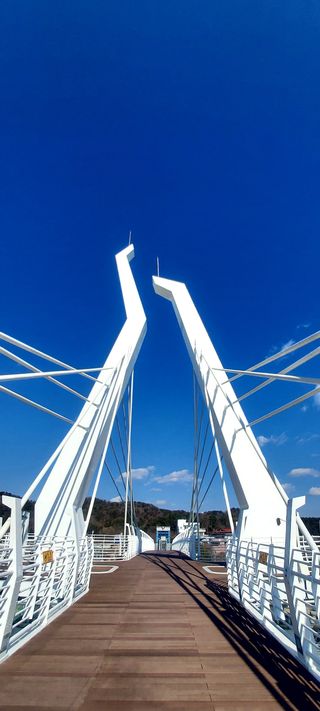 안재성님의 자유주제 · 사진전 작성글 사진