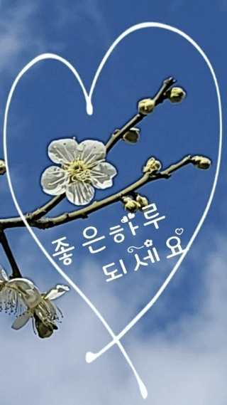 왕대추님의 두뇌 활력 충전소! 깜짝 초성 퀴즈 · 참여글 작성글 사진