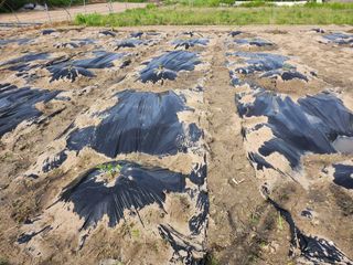 장기수님의 두뇌 활력 충전소! 깜짝 초성 퀴즈 · 참여글 작성글 사진