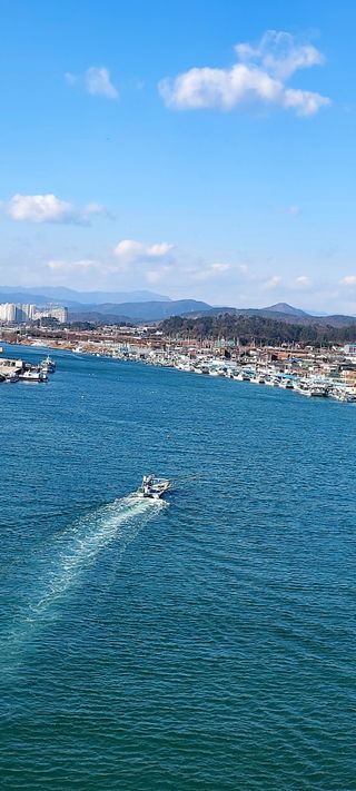 안재성님의 자유주제 · 사진전 작성글 사진