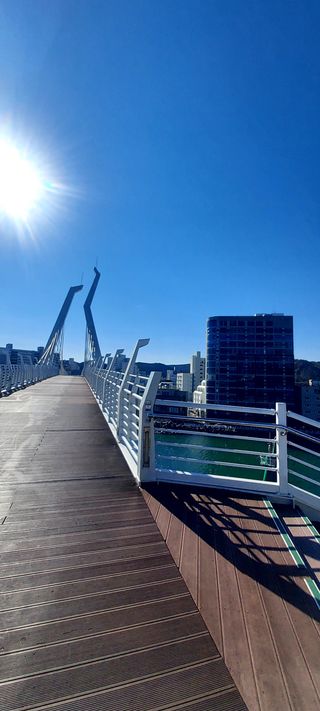 안재성님의 자유주제 · 사진전 작성글 사진