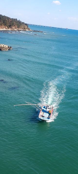 안재성님의 자유주제 · 사진전 작성글 사진