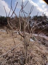 팜모닝 자유주제·자유게시판 게시글 이미지