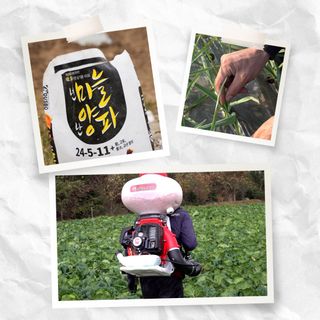 누보농장님의 자유주제 · 자유게시판 작성글 사진