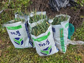 워람농장ㆍ황일택ㆍ님의 다가오는 대한, 농가의 혹한 대비 어떻게 하고 계신가요? · 참여글 작성글 사진