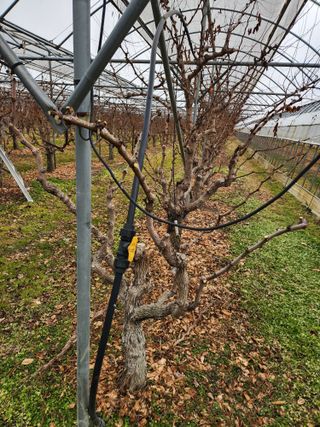 최상길 님의 자유주제 · 자유게시판 작성글 사진