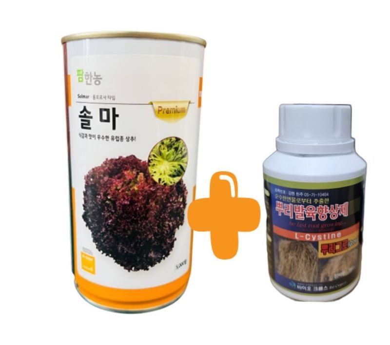 장터 상품 [팜한농 유럽  프리미엄상추  쏠마  대용량 5천립] 썸네일