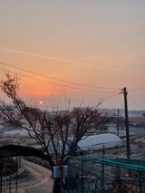 팜모닝 자유주제·자유게시판 게시글 이미지