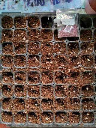 박순례님의 두뇌 활력 충전소! 깜짝 초성 퀴즈 · 참여글 작성글 사진