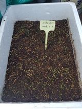 팜모닝 두뇌 활력 충전소! 깜짝 초성 퀴즈·참여글 게시글 이미지