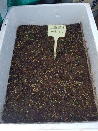 정주님의 두뇌 활력 충전소! 깜짝 초성 퀴즈 · 참여글 작성글 사진