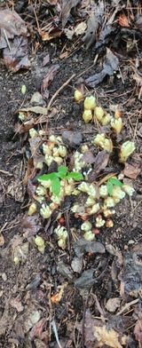 팜모닝 두뇌 활력 충전소! 깜짝 초성 퀴즈·참여글 게시글 이미지