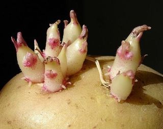 이현학님의 두뇌 활력 충전소! 깜짝 초성 퀴즈 · 참여글 작성글 사진