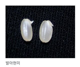오하늘님의 두뇌 활력 충전소! 깜짝 초성 퀴즈 · 참여글 작성글 사진
