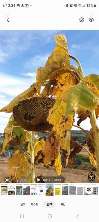 정찬영님의 작성글 사진
