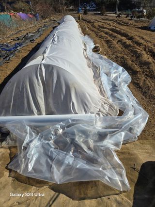 소병찬님의 다가오는 대한, 농가의 혹한 대비 어떻게 하고 계신가요? · 참여글 작성글 사진