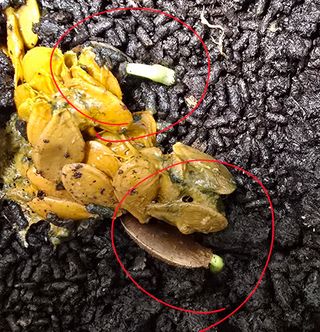 소병찬님의 두뇌 활력 충전소! 깜짝 초성 퀴즈 · 참여글 작성글 사진