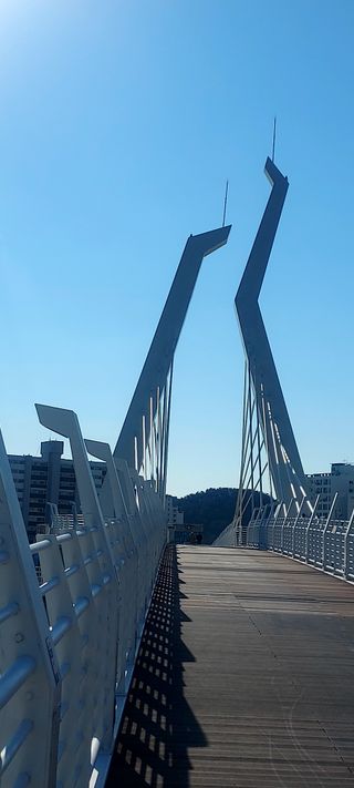 안재성님의 자유주제 · 사진전 작성글 사진