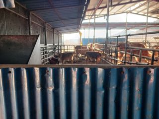 알 수 없음님의 자유주제 · 자유게시판 작성글 사진