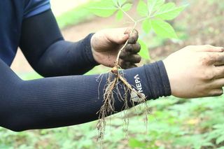 진상빈님의 작성글 사진