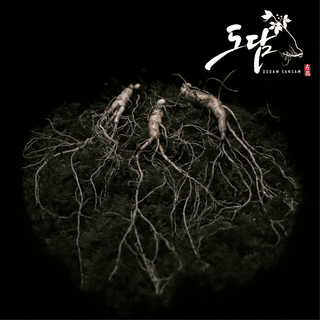 진상빈님의 작성글 사진