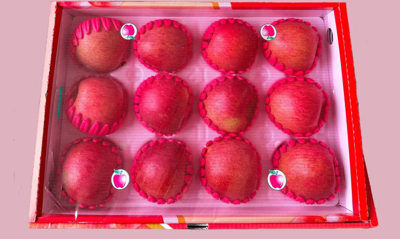 농부손녀님의 장터 판매 상품 [[프리미엄] 2025 꿀사과 선물세트 5kg ] 첨부 사진