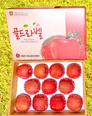 농부손녀님의 작성글 사진