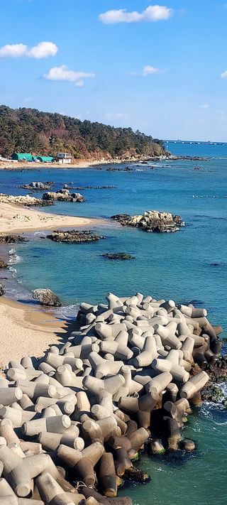 안재성님의 자유주제 · 사진전 작성글 사진