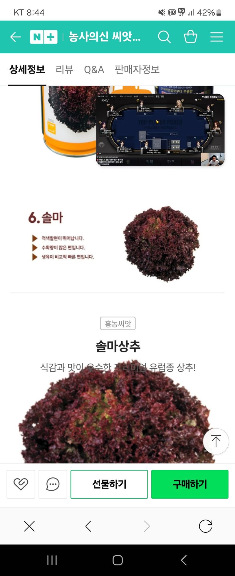 대산농사대장님의 장터 판매 상품 [팜한농 유럽  프리미엄상추  쏠마  대용량 5천립] 첨부 사진