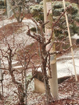 최상길 님의 자유주제 · 자유게시판 작성글 사진