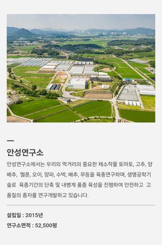 대산농사대장님의 고추 · 품종•종자 작성글 사진