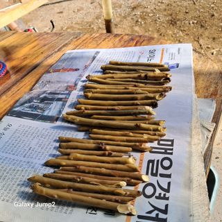 규수김님의 자유주제 · 자유게시판 작성글 사진