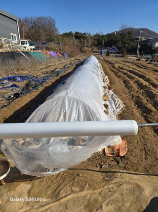 소병찬님의 다가오는 대한, 농가의 혹한 대비 어떻게 하고 계신가요? · 참여글 작성글 사진