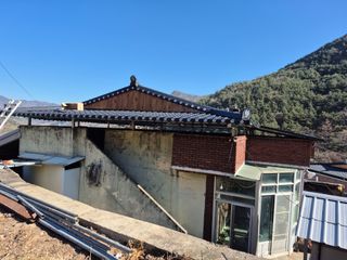 허굴산농장님의 자유주제 · 자유게시판 작성글 사진