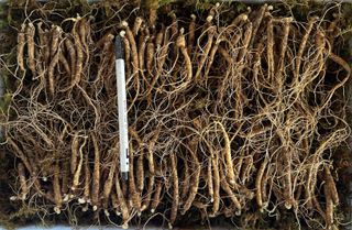 진상빈님의 작성글 사진