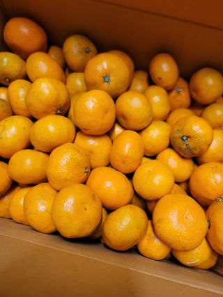 박치문님의 자유주제 · 자유게시판 작성글 사진