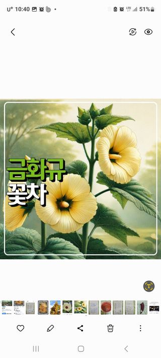 정찬영님의 작성글 사진