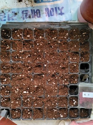 박순례님의 두뇌 활력 충전소! 깜짝 초성 퀴즈 · 참여글 작성글 사진