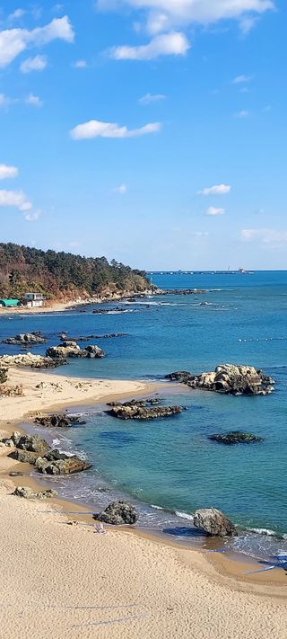 안재성님의 자유주제 · 사진전 작성글 사진