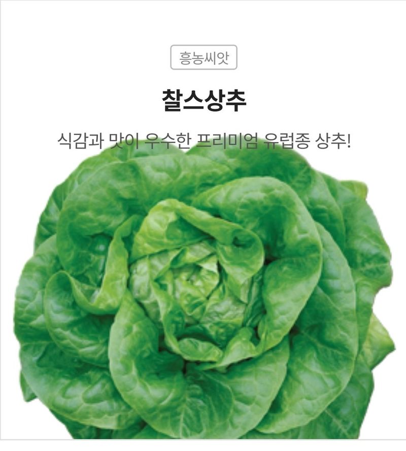 대산농사대장님의 장터 판매 상품 [팜한농 프리미엄 유럽 고급 찰스 5000립 대용량] 첨부 사진